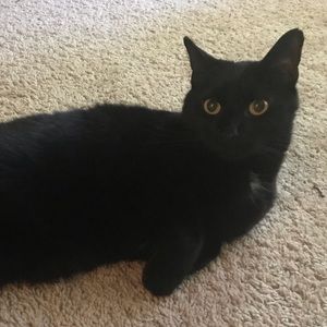 Meet your Posher, Kiera